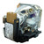 LT35 Original OEM replacement Lamp