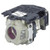LT35+ Original OEM replacement Lamp