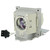 SH960 replacement lamp2 replacement lamp