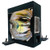 PT-L6500-SINGLE Original OEM replacement Lamp
