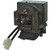 S1213Hne-LAMP