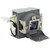 S1213Hne-LAMP