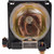 PT-L759U Original OEM replacement Lamp