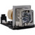 S300w replacement lamp