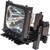 LP840-LAMP