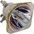 Ushio U-Stage 15R High-Pressure Discharge Stage Lamp for the Chauvet Rogue R3 Beam