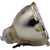 Osram Sirius HRI 330W XL Moving Head HID Lamp – 16,500 lm, 7250K, 65V, Any Position, 1,500 hr - 54714