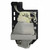 HD2500 Original OEM replacement Lamp