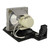 EH300 Original OEM replacement Lamp