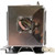 MS536 replacement lamp