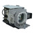 VPL-DX11 Original OEM replacement Lamp
