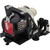 Cineo-12 Original OEM replacement Lamp
