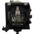 Cineo-12 Original OEM replacement Lamp