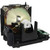 PT-DX820U-2PK replacement lamp