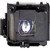 XR-41X Original OEM replacement Lamp