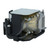 VPL-DX15 Original OEM replacement Lamp