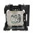 D4500 replacement lamp