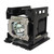 D4520 replacement lamp