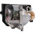 EW675UTis-LAMP