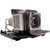 VPL-EX250-LAMP