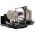 VPL-EX250-LAMP