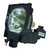 PLC-SF45-LAMP