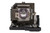 W600+ replacement lamp