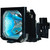 VPL-CS4 Original OEM replacement Lamp