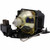 CL20X replacement lamp