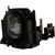 PT-DZ570U replacement lamp