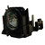PT-DZ6710 replacement lamp