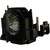 PT-DX610L replacement lamp