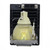 PH1000U+ Original OEM replacement Lamp