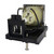 D8010W Original OEM replacement Lamp