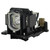 CP-D31N-LAMP