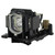 CP-D31N-LAMP