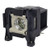 HC5035 Original OEM replacement Lamp