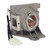 PG603W Original Philips replacement Lamp