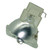 GF538 Bulb