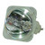 GF538 Bulb