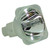 69611 Bulb