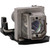 MX500 Original OEM replacement Lamp