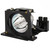 H31 Original OEM replacement Lamp