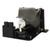 H31 Original OEM replacement Lamp