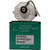 Ushio 4000W 1000 Hour Xenon Digital Cinema Lamp for the DP4K-32B
