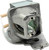 Jaspertronics™ OEM BL-FU220E Lamp & Housing for Optoma Projectors with Original High-Quality bulb inside - 240 Day Warranty