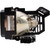 DLA-RS40U-LAMP