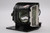 DP-1000X Original OEM replacement Lamp