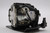 DP-1000X Original OEM replacement Lamp