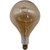 Jaspertronics A165S oversized amber vintage LED Edison bulb, E26 dimmable 7W 560 lumens 2200K warm white